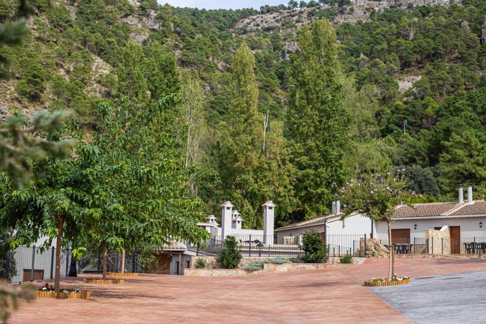 Apartamentos 7 Puentes Sierra Cazorla Casa Acebo 布伦切尔 外观 照片